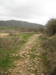 Remnant Roman Road