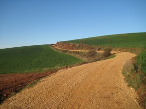 En route to Logroño
